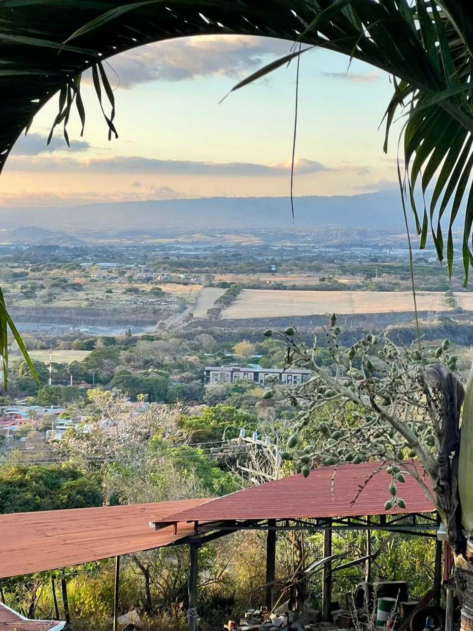 Lote residencial de 9344 m2 en venta, Piedades de Santa Ana - foto 6