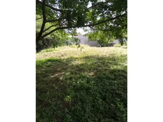 Lote independiente de 1000 m2 en Residencial Real de Pereira. Guachipelín Norte de Escazú - foto 4