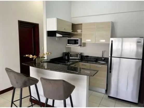Apartamento amueblado en alquiler, Avalon Santa Ana - foto 6
