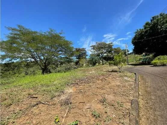 Lote residencial de 2999 m2 a la venta, Ciudad Colón - foto 5
