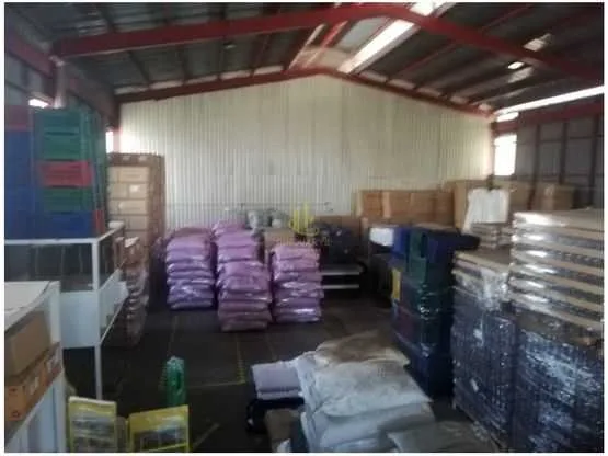 Bodega de 264 m2 en alquiler, La Uruca - foto 5