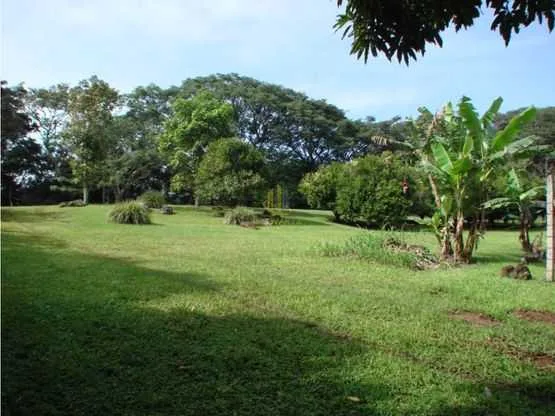 Lote con uso de suelo residencial a la venta, Ciudad Colón - foto 2