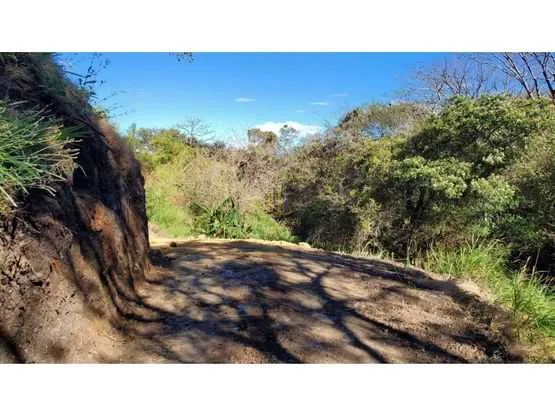 Lote residencial de 1292 m2 en venta, El Alto de Las Palomas - foto 6