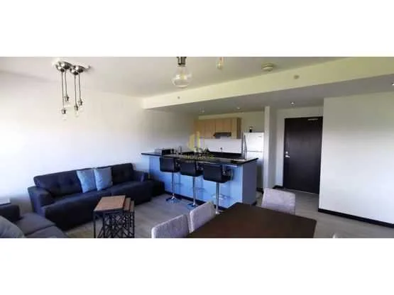 Apartamento totalmente amueblado y equipado en alquiler, Condado del Parque - foto 4