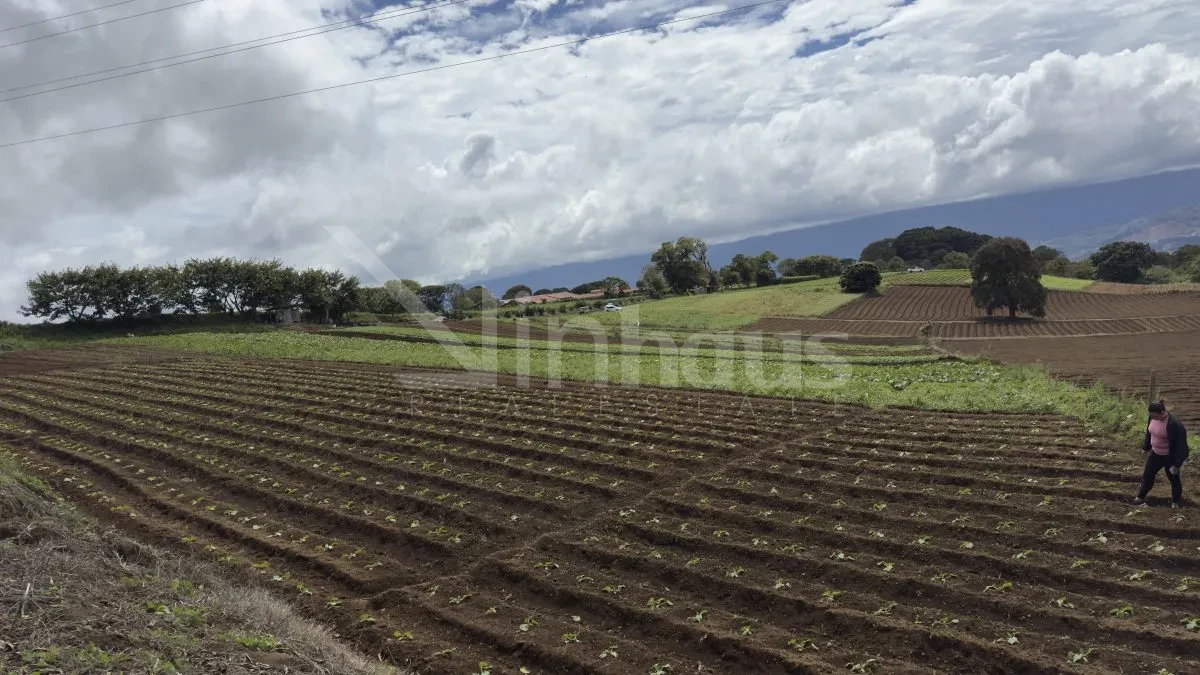 Venta de Lote en Paso Ancho de Oreamuno. - foto 3