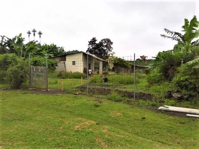 V154 Vendo 3 casas en terreno de 7145 m2 San Isidro Heredia - foto 4
