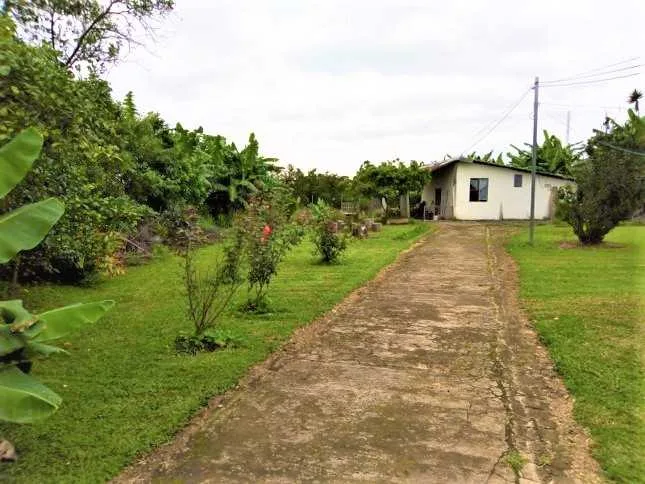 V154 Vendo 3 casas en terreno de 7145 m2 San Isidro Heredia - foto 5