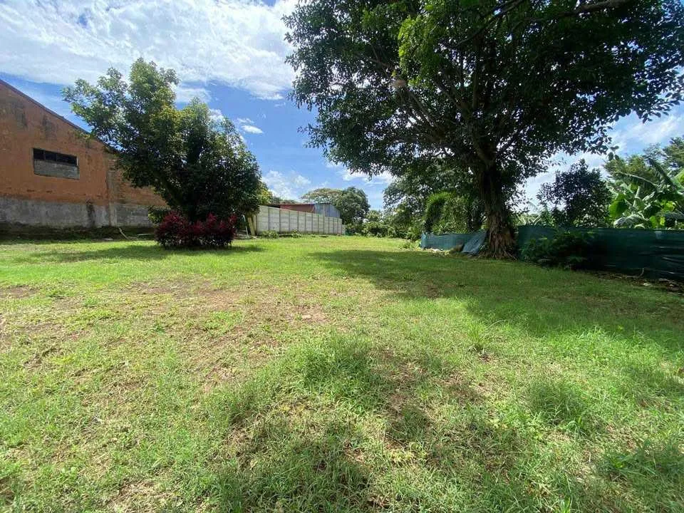 Lotes en Venta en San Roque, Grecia - foto 2