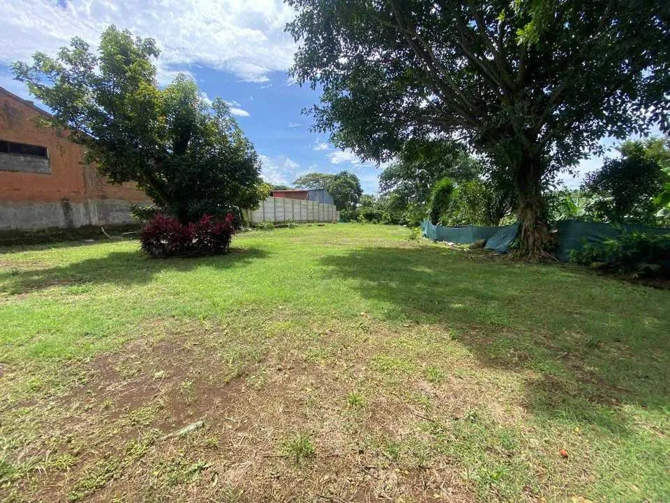 Lotes en Venta en San Roque, Grecia - foto 3