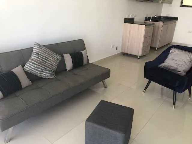 Alquiler  de Apartamento en Santa Ana #68 - foto 2