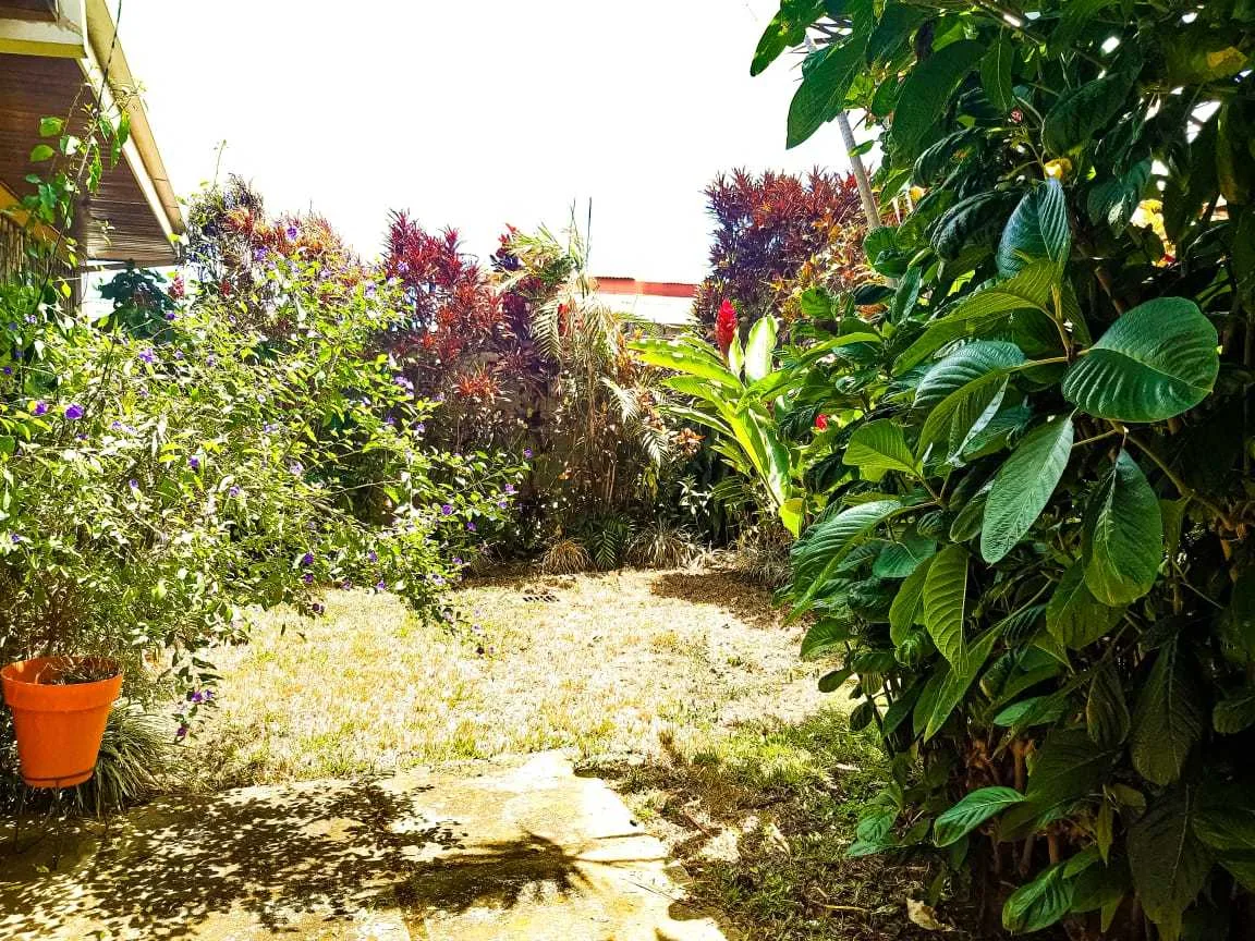 casa rohmoser # 22 san jose - foto 2