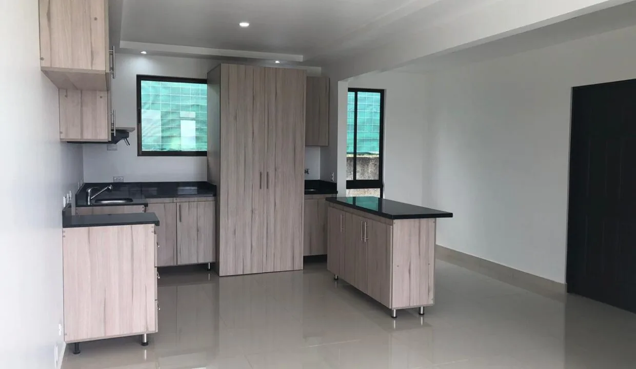 Alquiler  de Apartamento en Santa Ana #68