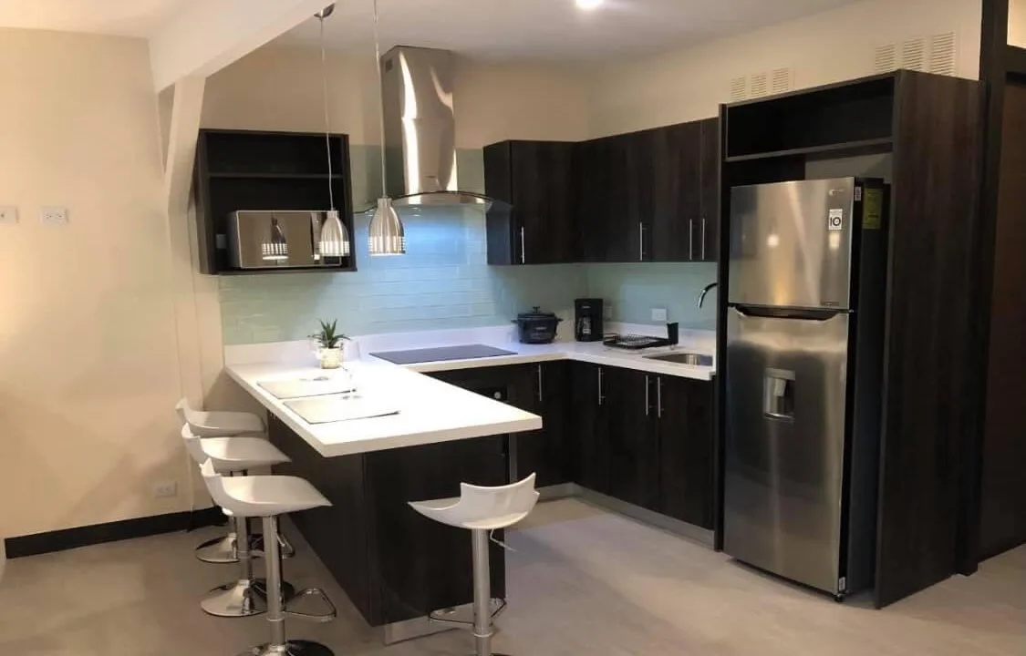 Alquiler de Apartamento en Escazú #173