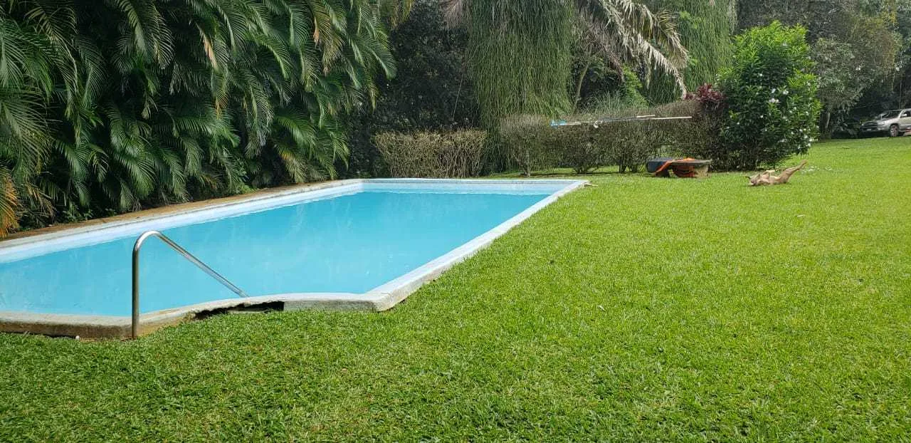 Alquiler de casa, Alajuela centro, $1.000= - foto 4