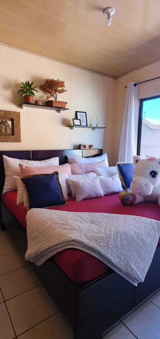 Apartamento de alquiler, Alajuela centro, ¢280.000= - foto 5