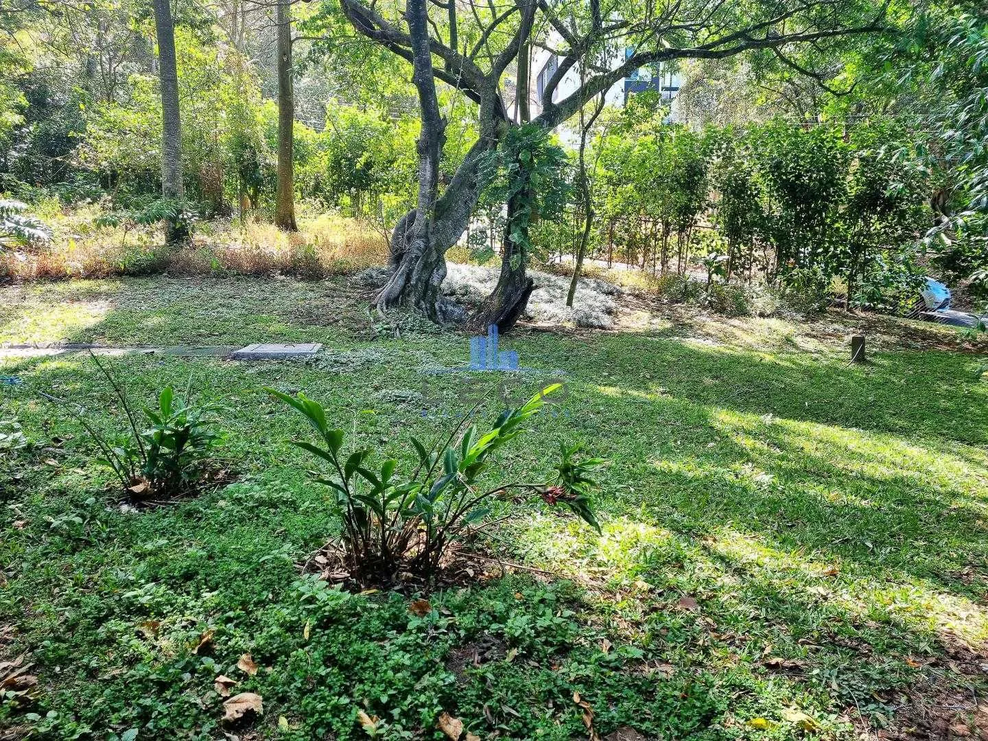 Venta Casa Una Planta Vista De Oro San Antonio Escazú - foto 6