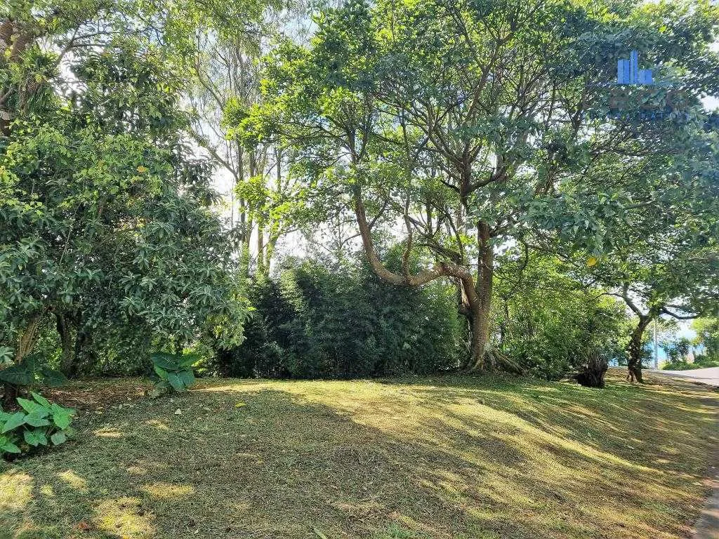 Alquiler Casa Independiente Moravia La Trinidad - foto 3