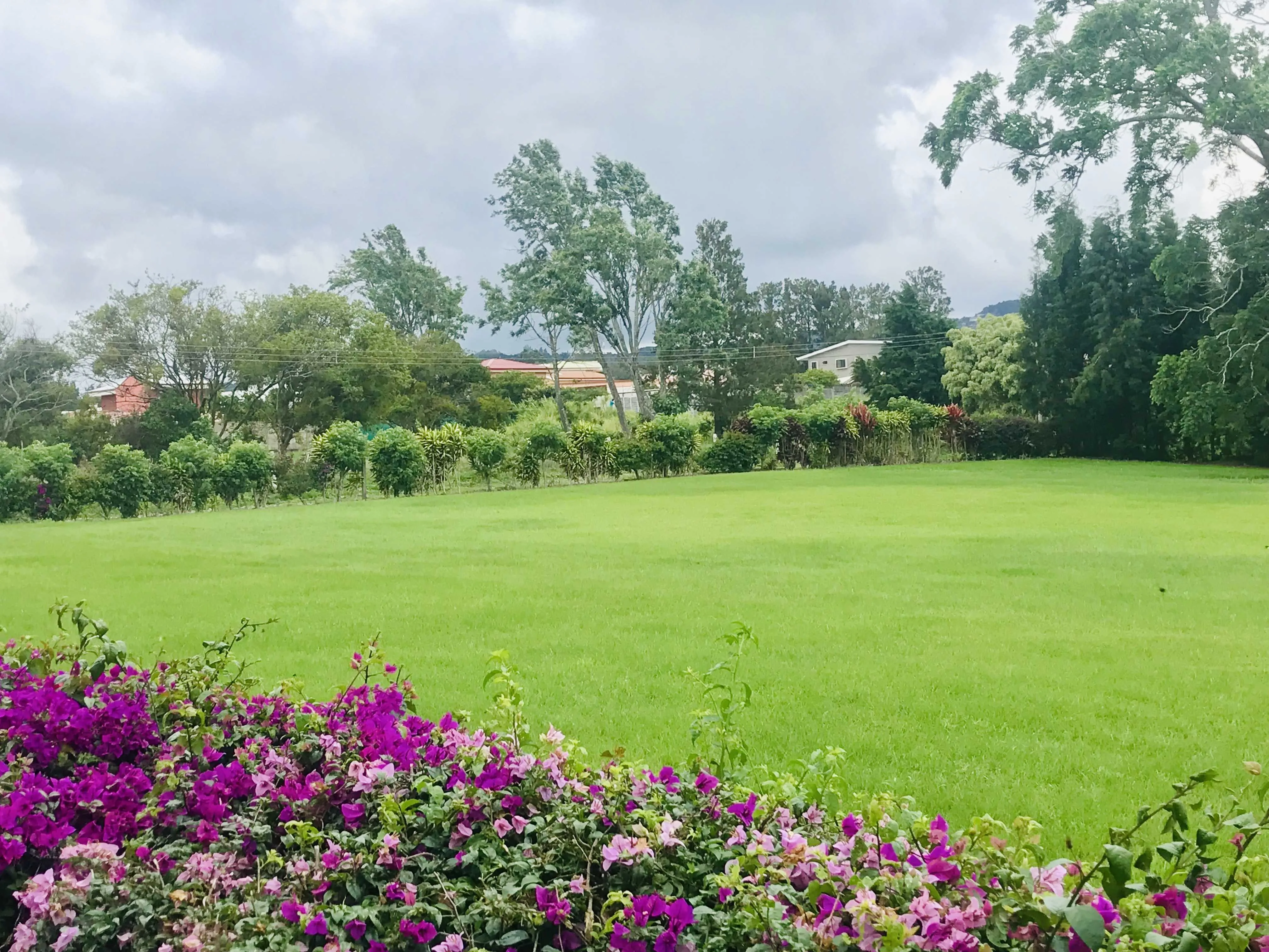 REBAJADO FANTÁSTICO LOTE RESIDENCIAL EN SAN ISIDRO DE HEREDIA - foto 3
