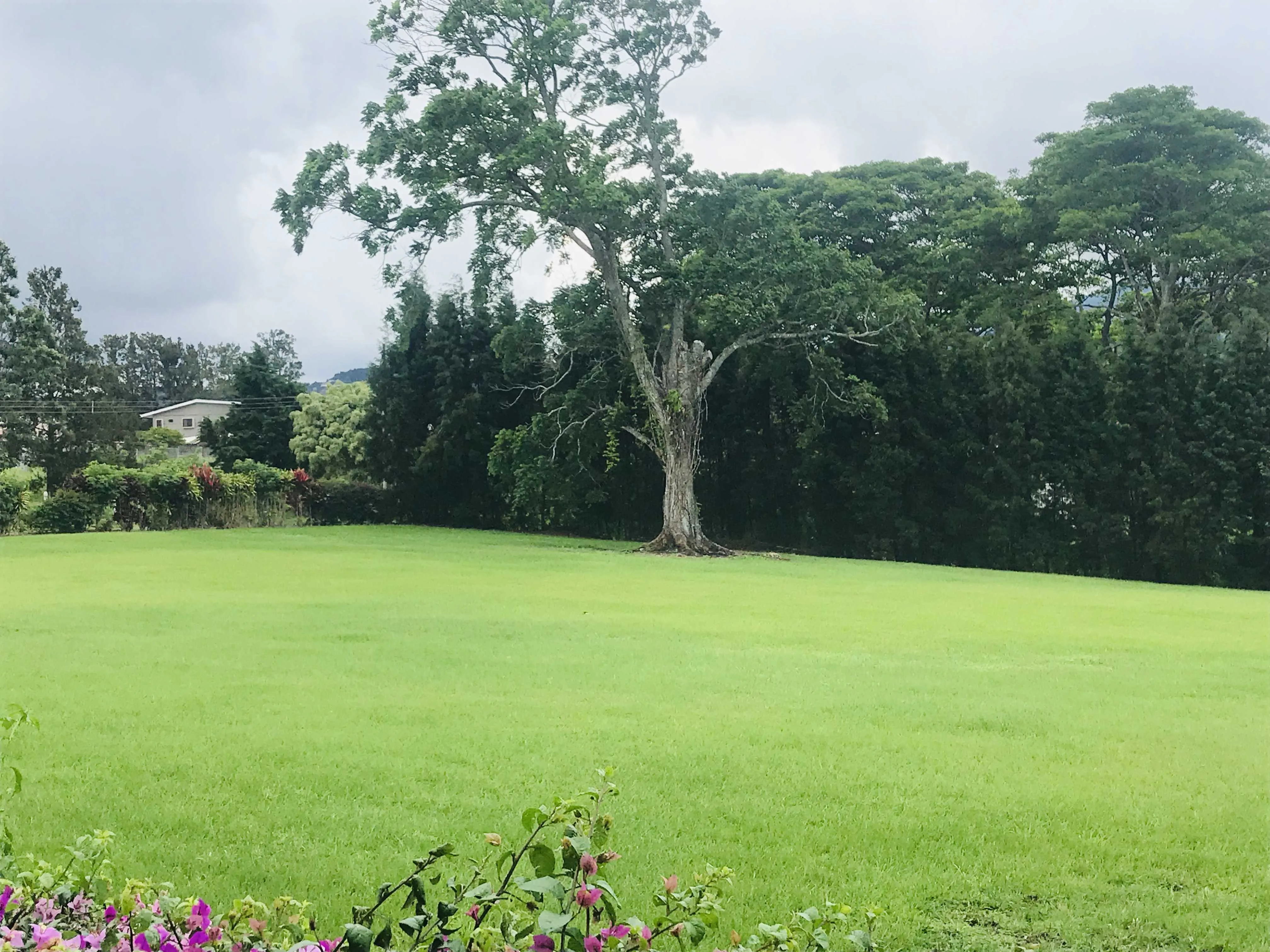 REBAJADO FANTÁSTICO LOTE RESIDENCIAL EN SAN ISIDRO DE HEREDIA - foto 5