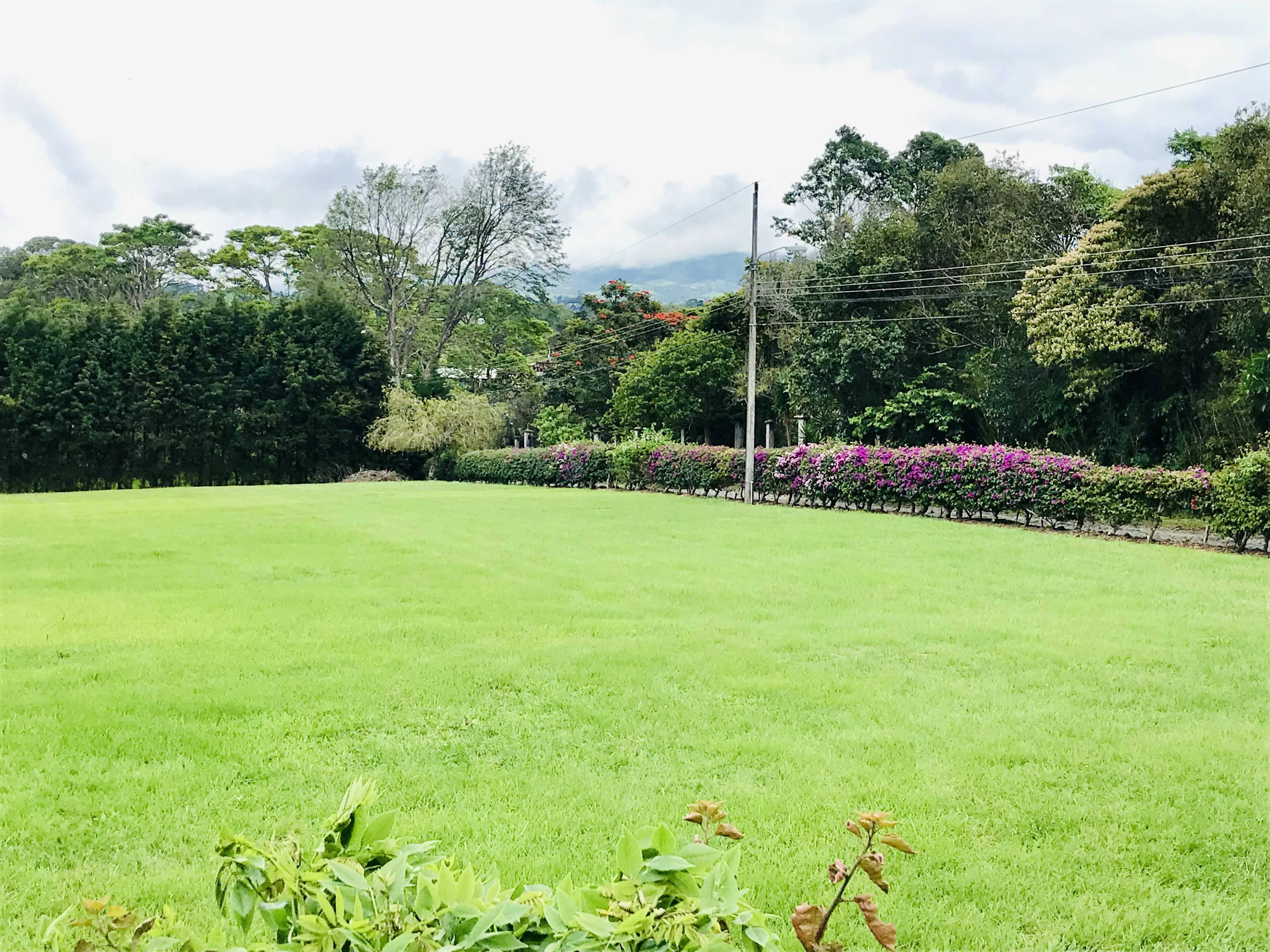 REBAJADO FANTÁSTICO LOTE RESIDENCIAL EN SAN ISIDRO DE HEREDIA - foto 4