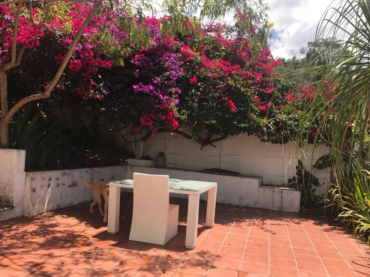 VENTA DE CASA EN ESCAZU, BELLO HORIZONTE - foto 4