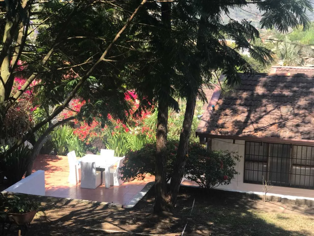 VENTA DE CASA EN ESCAZU, BELLO HORIZONTE - foto 6