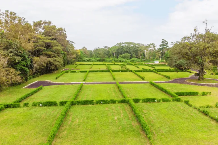 Construya Su Casa Rodeada De Naturaleza Con Vista Al Arenal - foto 4