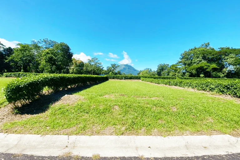 Construya Su Casa Rodeada De Naturaleza Con Vista Al Arenal - foto 6