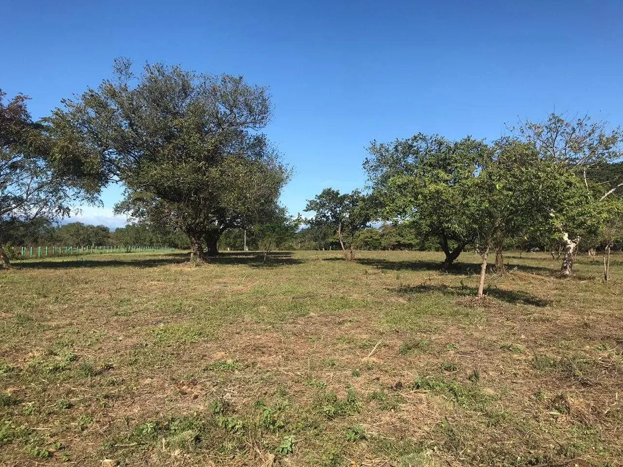 Se Vende Finca, Liberia, Guanacaste. - foto 4