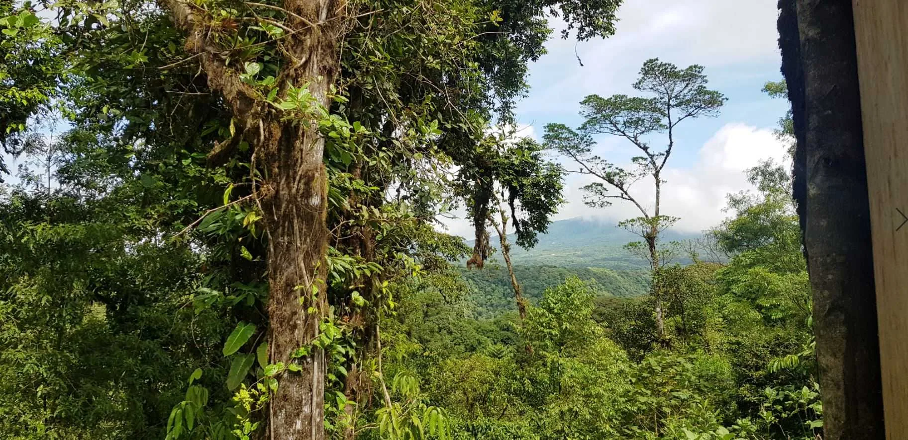 Finca en Venta, Monserrat de Coronado, San José - foto 2