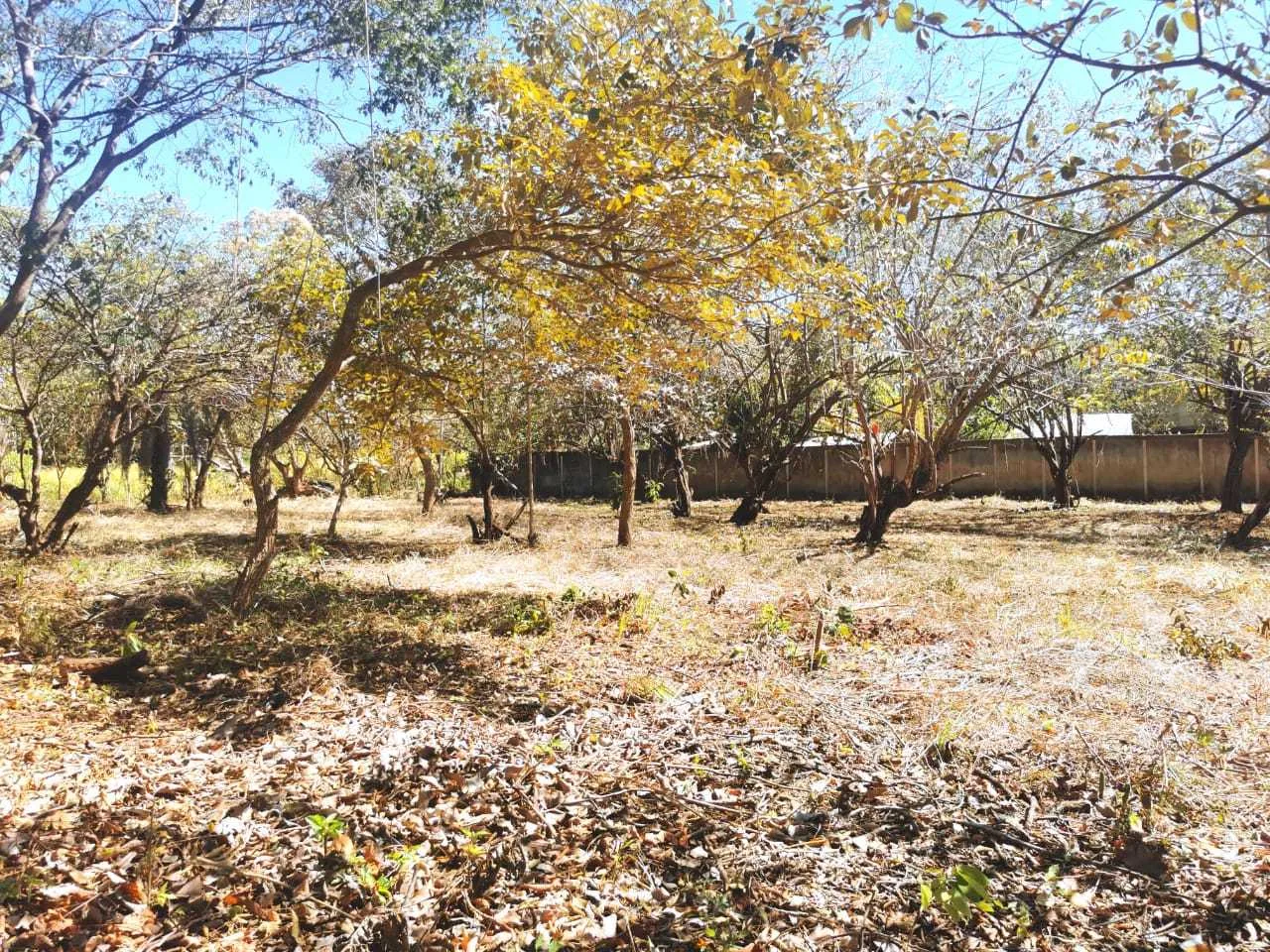 Lote en Venta, Orotina, Alajuela - foto 3