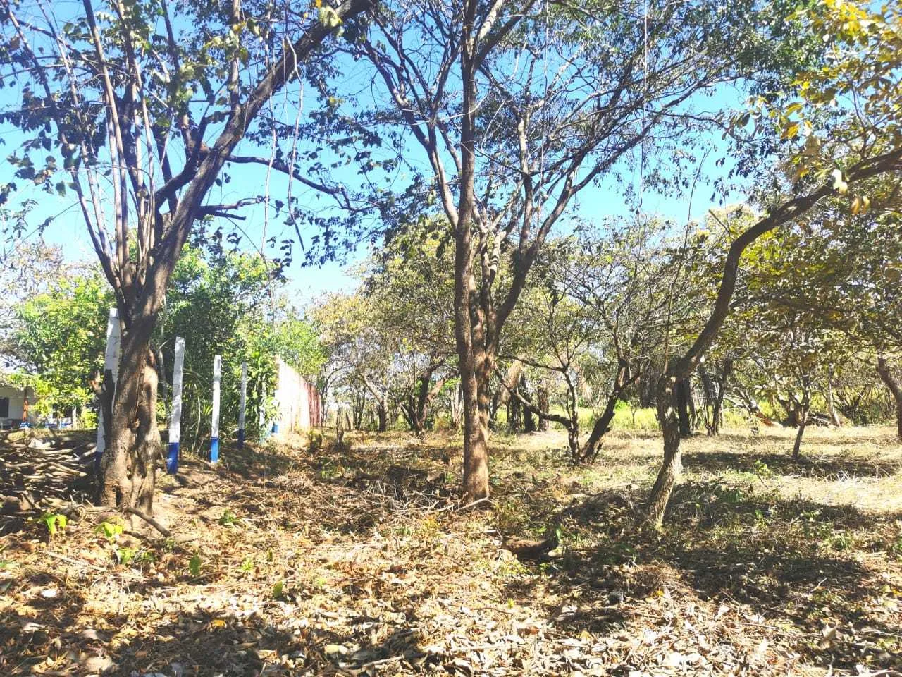 Lote en Venta, Orotina, Alajuela - foto 6