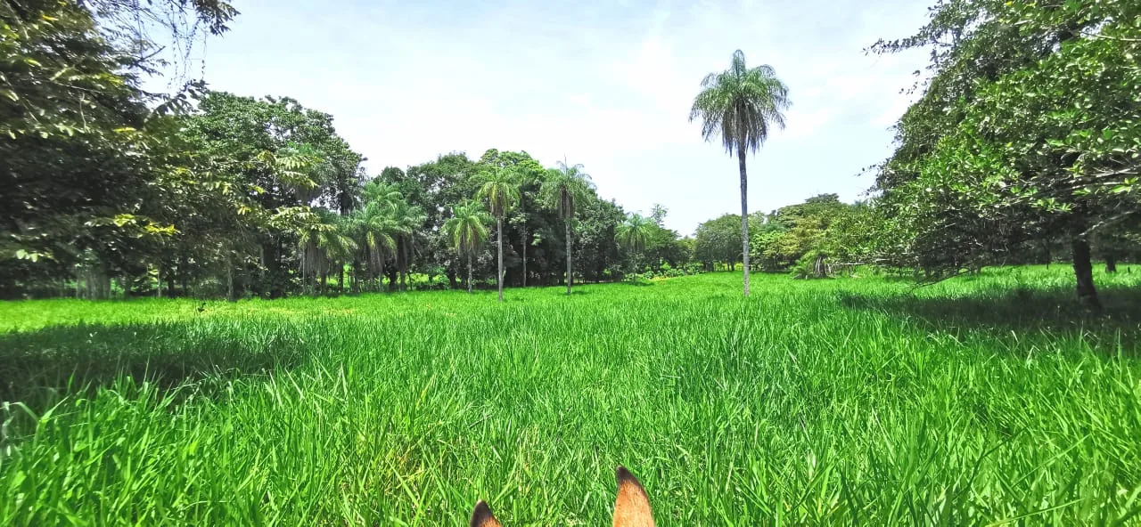 Finca en Venta, Abangares, Guanacaste