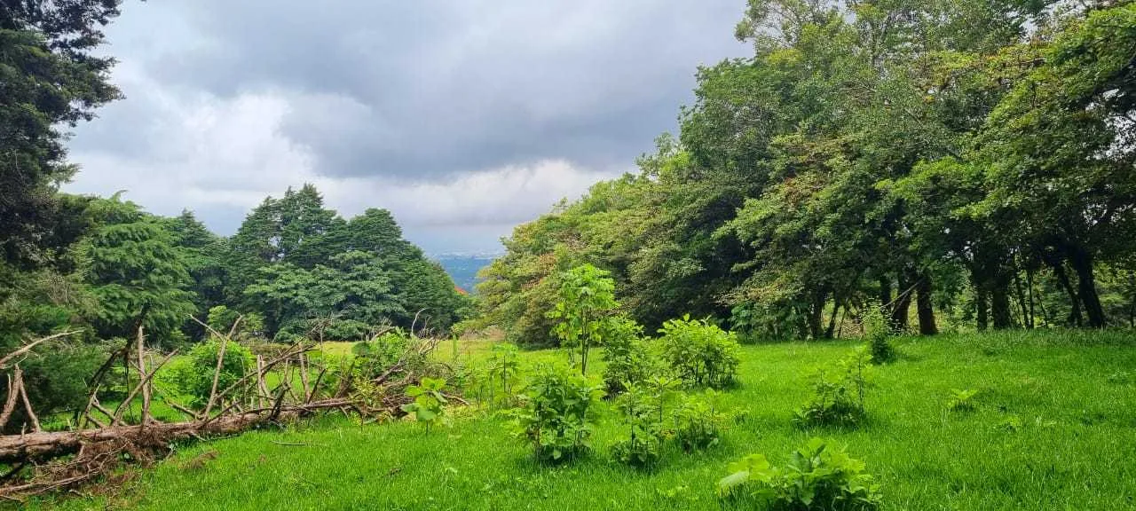 Se Vende Lote en San Isidro, Concepción, Heredia. - foto 6