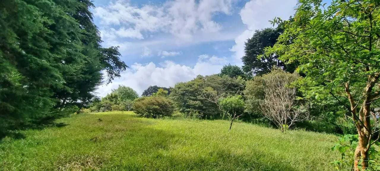 Se Vende Lote en San Isidro, Concepción, Heredia. - foto 2