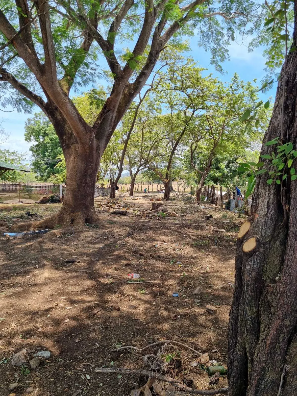 Se Vende Lote en Santa Cruz, Linderos, Guanacaste. - foto 3