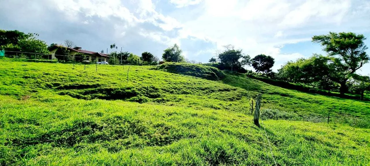 Se Vende Lote en San Rafael de Coronado, San José - foto 4