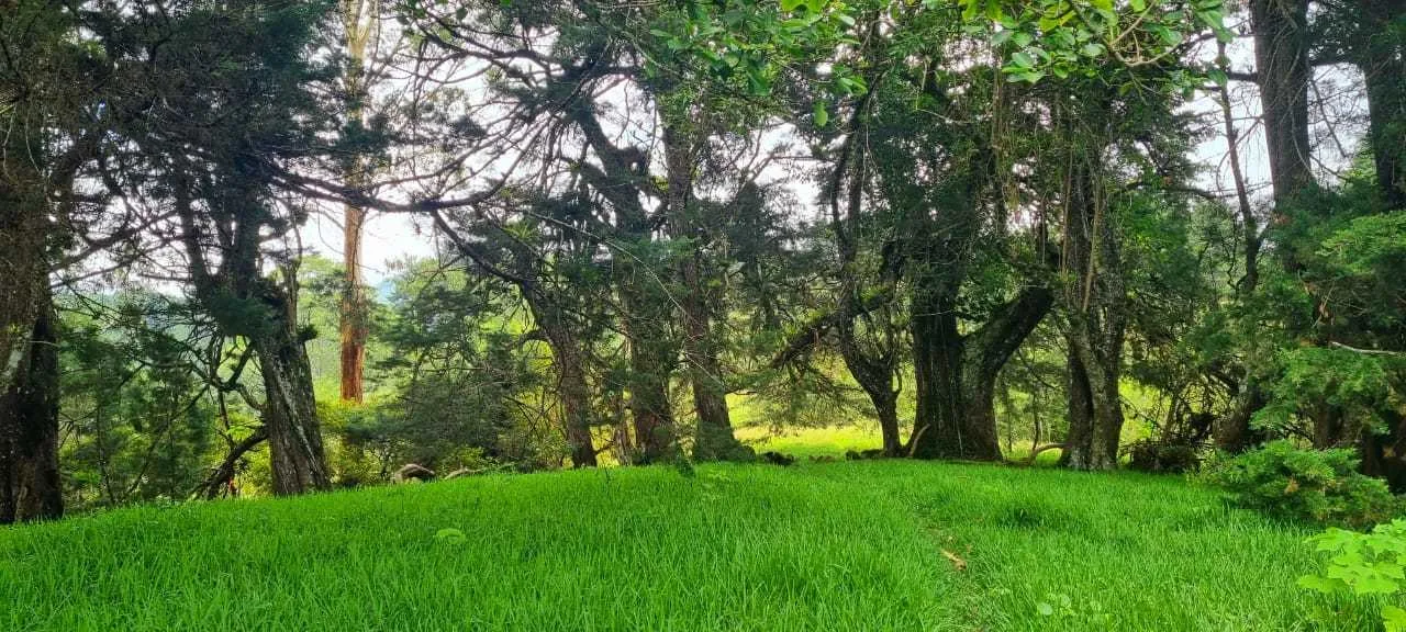 Se Vende Lote en San Isidro, Concepción, Heredia. - foto 5