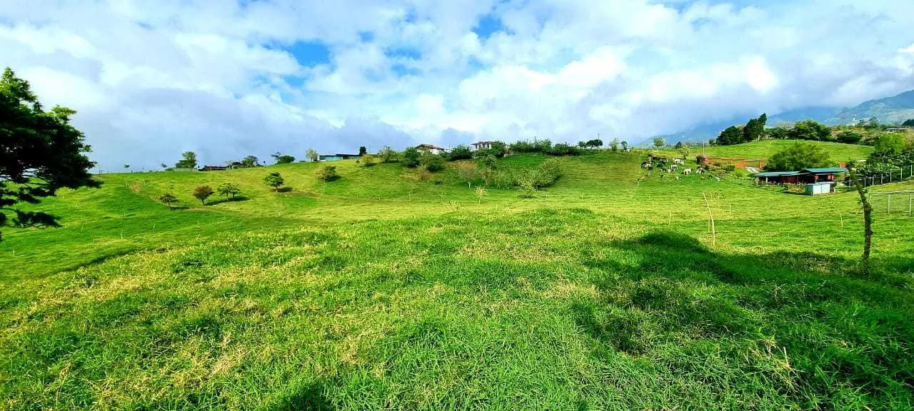 Se Vende Lote en San Rafael de Coronado, San José - foto 2