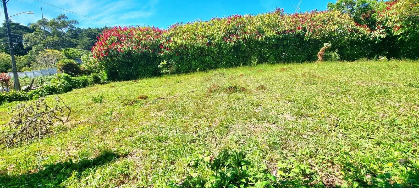 Lote en Venta, San Rafael, Heredia - foto 2