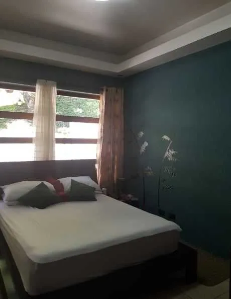 Se Vende Casa en Palmitos de Naranjo, Alajuela. - foto 2