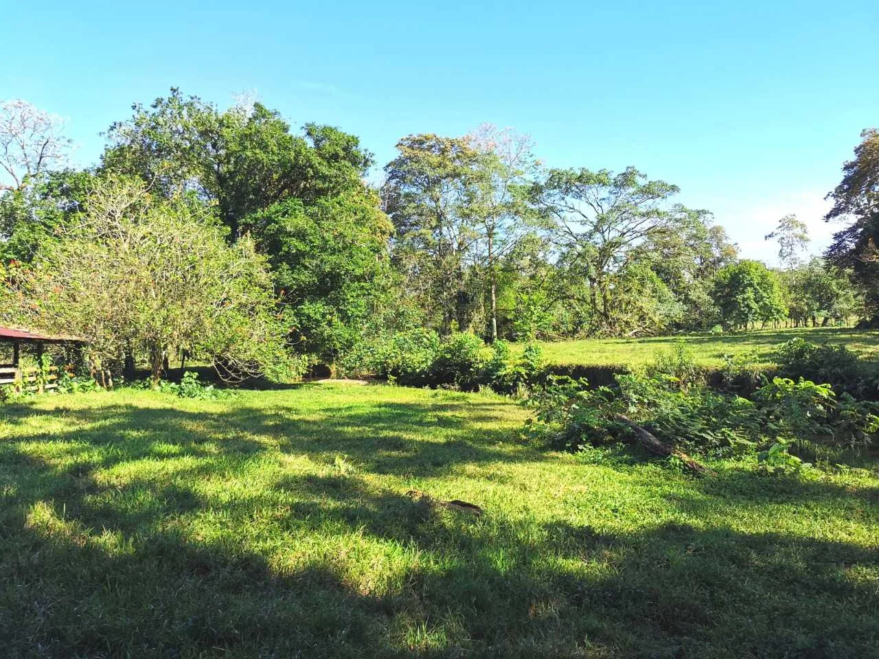 Finca en Venta, Milano, Siquirres, Limón - foto 2
