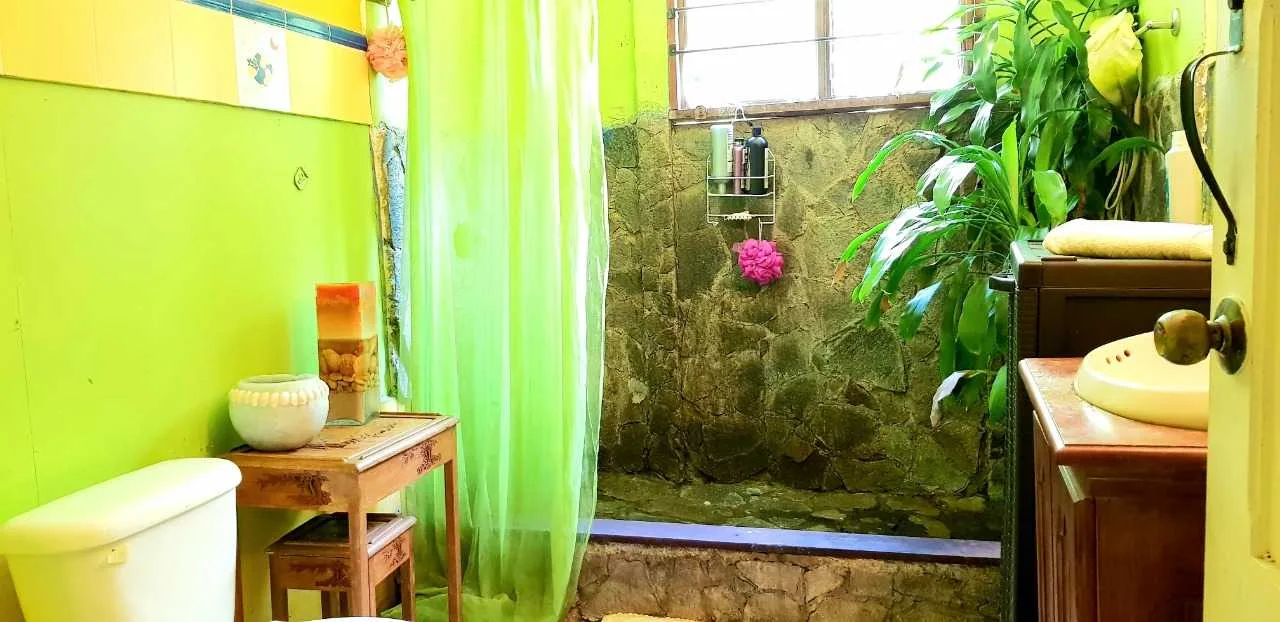 Se Vende Finca en San Miguel de Santo Domingo, Heredia - foto 6