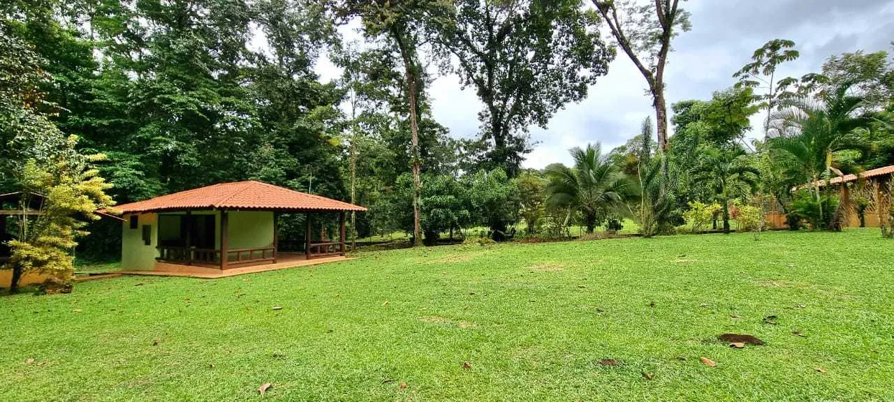 Quinta en Venta, Guápiles, Limón - foto 3