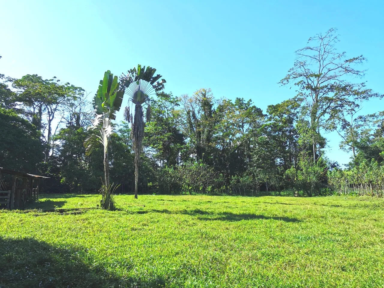 Finca en Venta, Milano, Siquirres, Limón