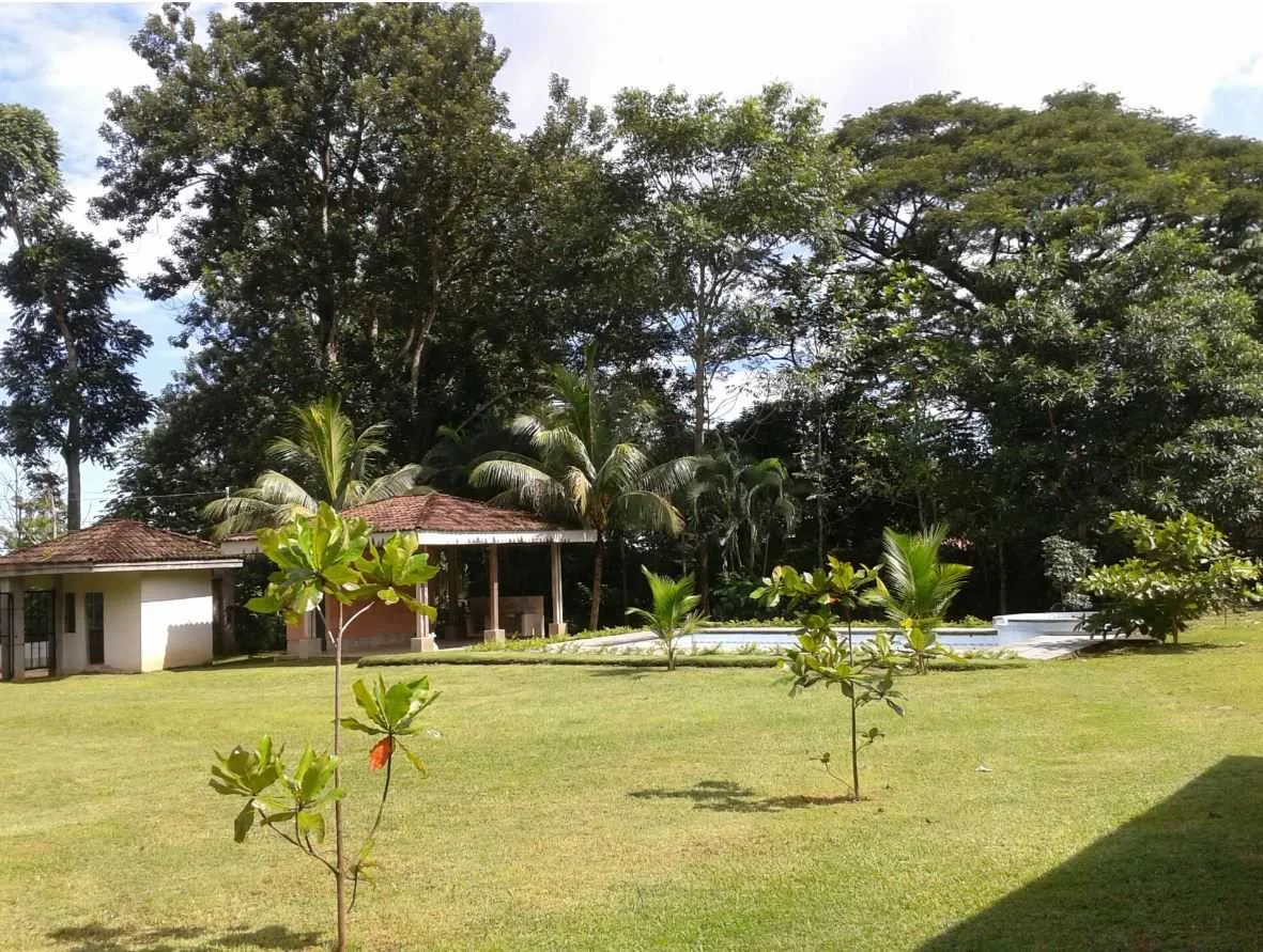Lote en Venta, Punta Leona, Garabito de Puntarenas. - foto 3