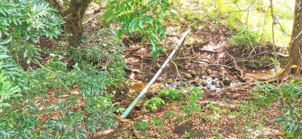 Finca en Venta, Abangares, Guanacaste - foto 3