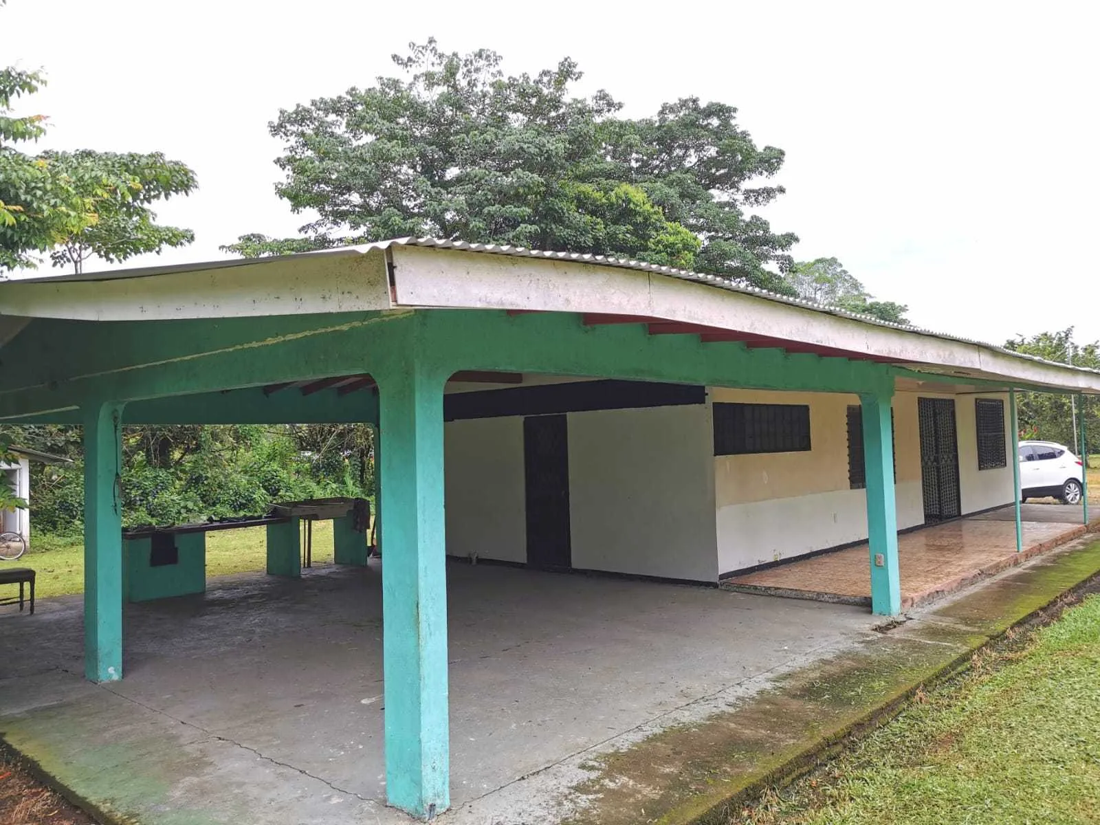 Se Vende Finca en Guácimo de Limón - foto 2