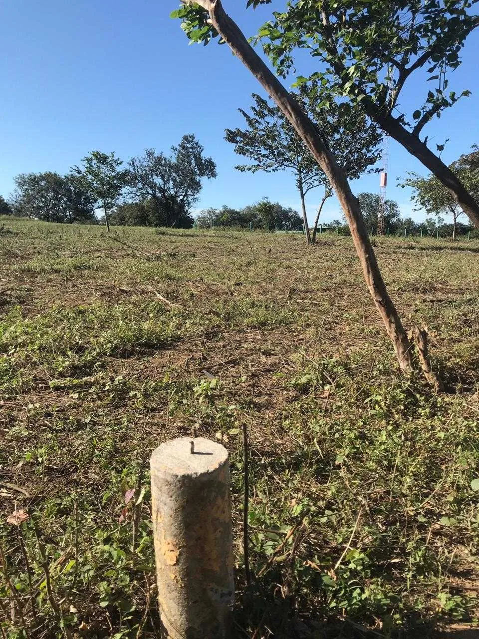 Se Vende Finca, Liberia, Guanacaste. - foto 3