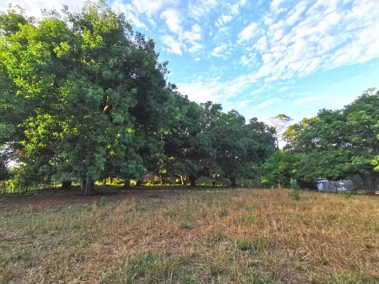 Se Vende Lote, en La Ceiba de Orotina, Alajuela - foto 2